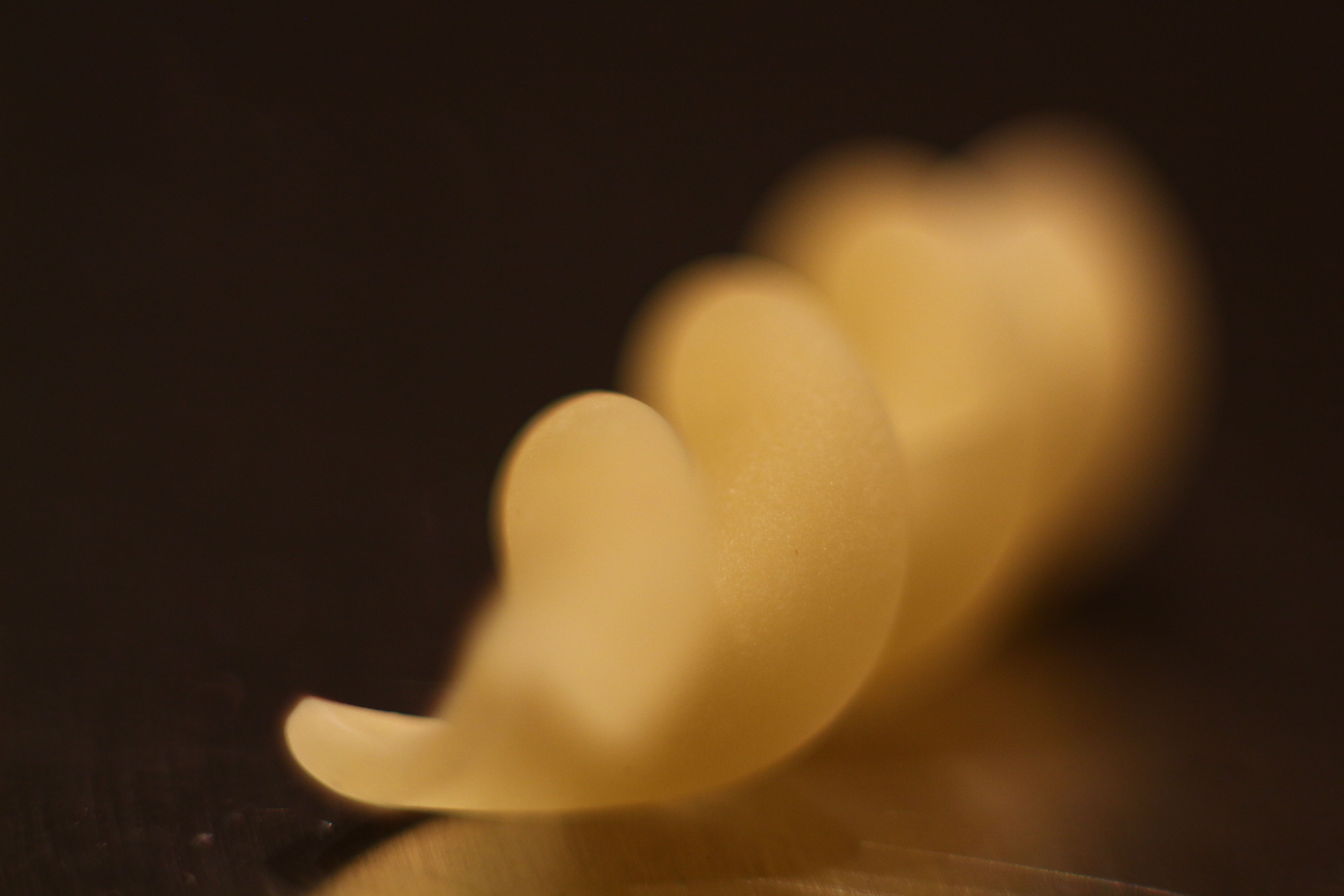 Ако кажем, че е паста, не се знае как ще ни разбере някой по-възрастен читател. Ако кажем, че е макарон, то не се знае как ще ни разберат по-младите читатели. Но вие сте точните ни читатели и много добре виждате какво "мекотело" е това!