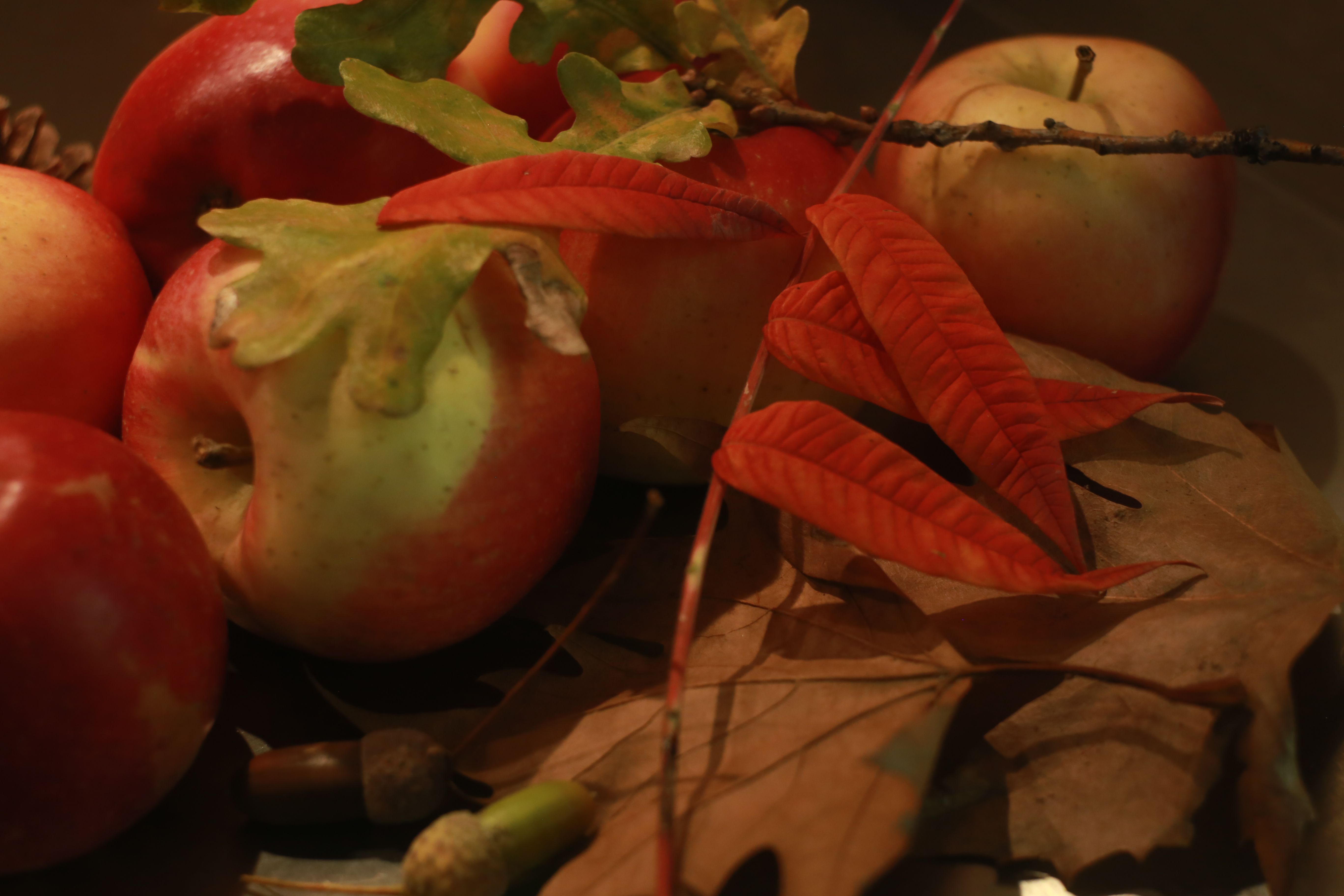 Магията на есента лесно дава топлина и уют на дома