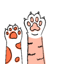 Become a new pet parent at adoption drives organised by animal shelters and NGOs