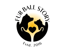 Furball story