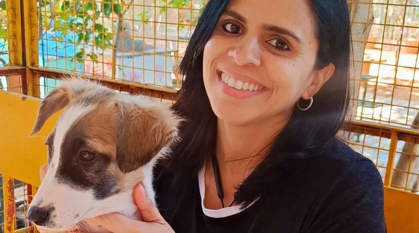 Responsible dog parenting and prevention of lost pets