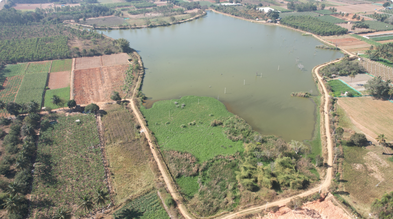 Tarahunise Lake Restoration