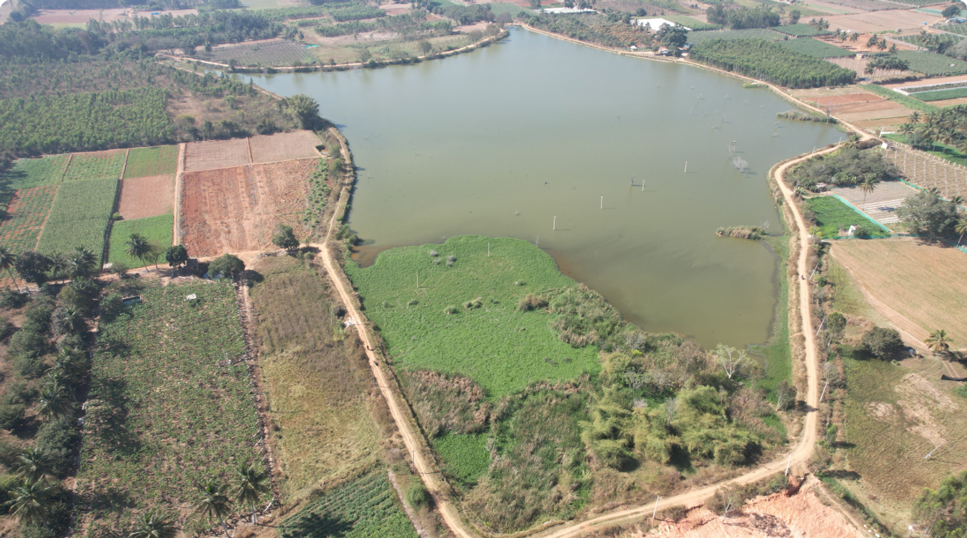 Tarahunise Lake Restoration image