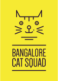 Cat Squad