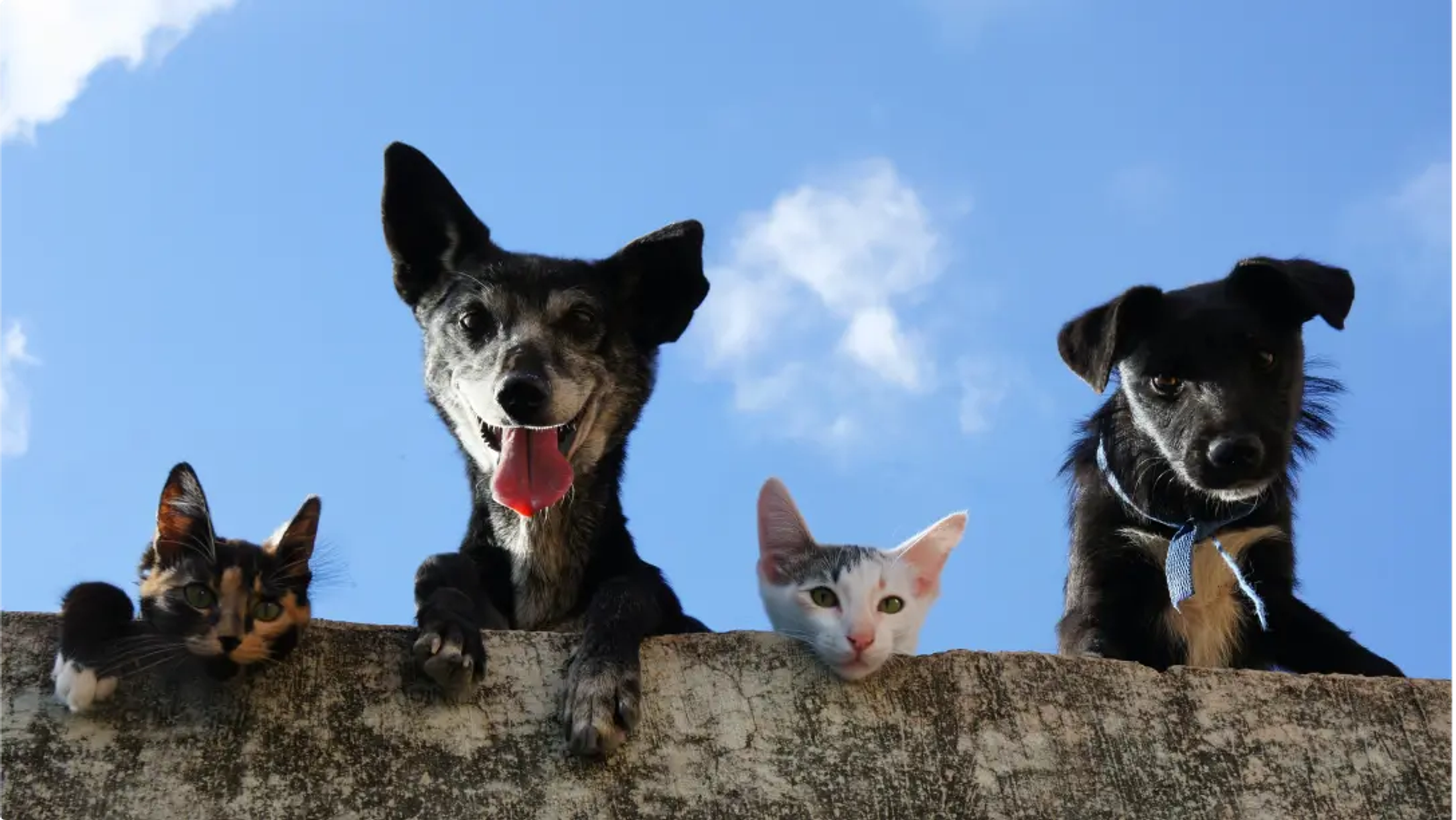 Hero carousel image - 1