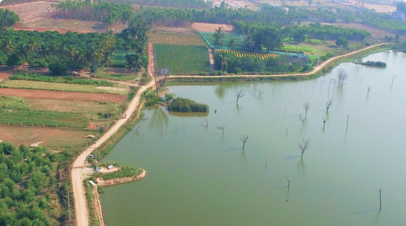 Tarahunise Lake Restoration image