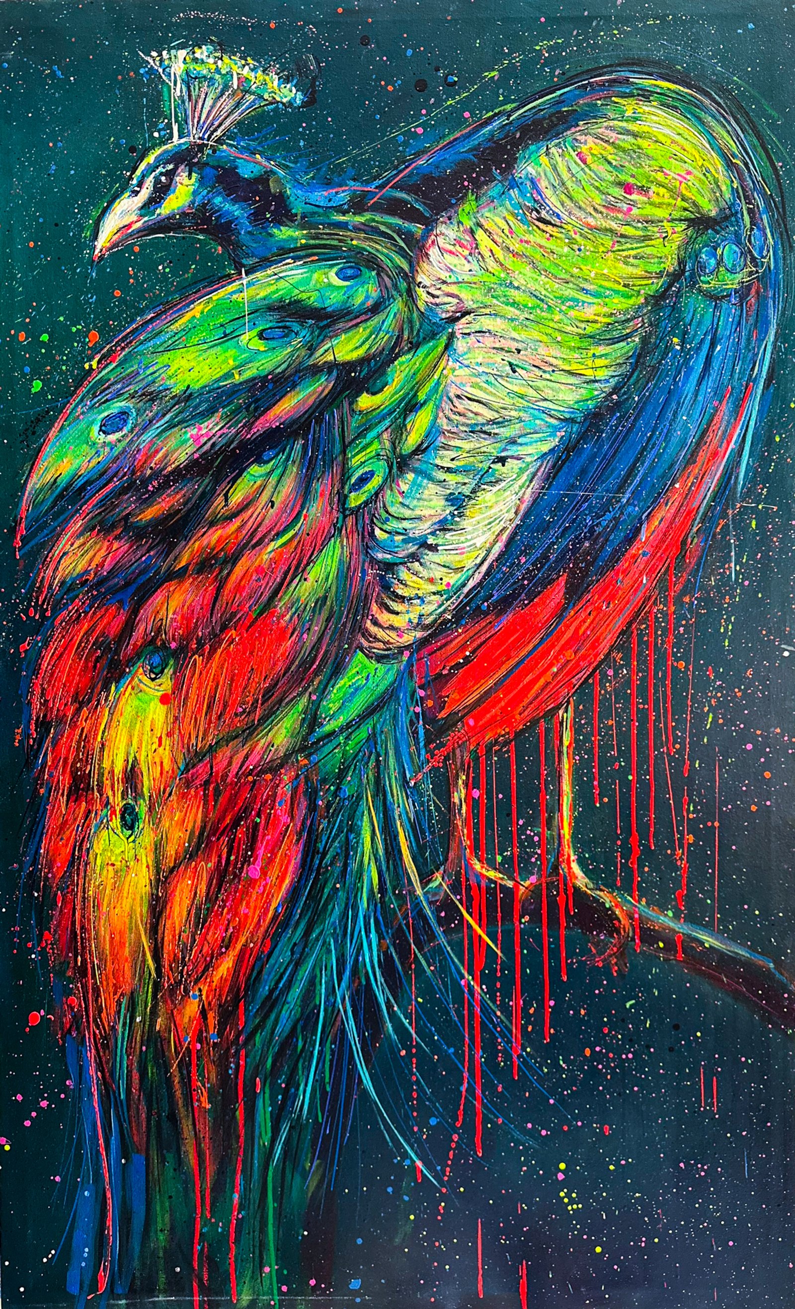 Peacock