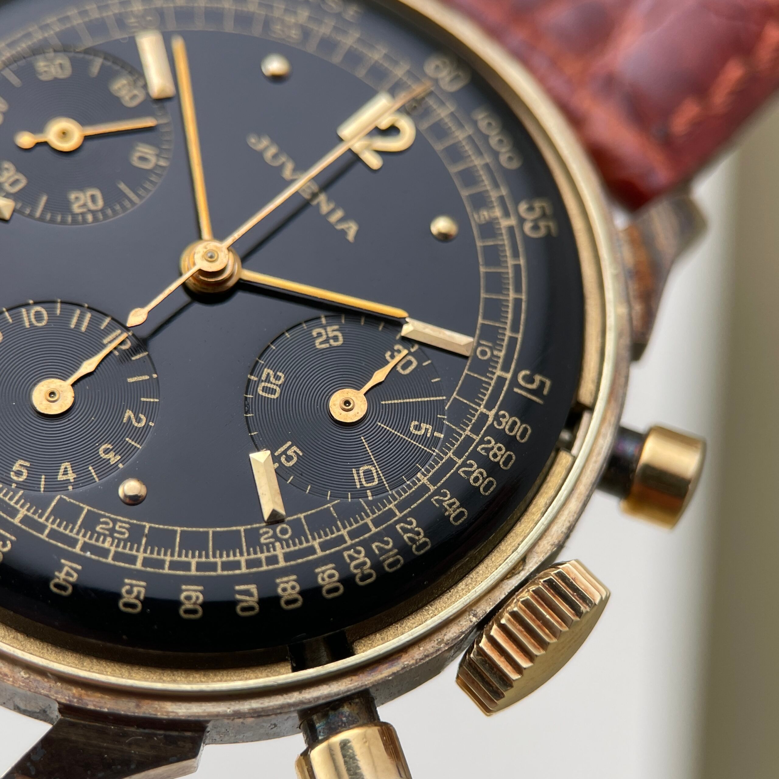 Juvenia Black Gilt Dial, photo 18 of 18