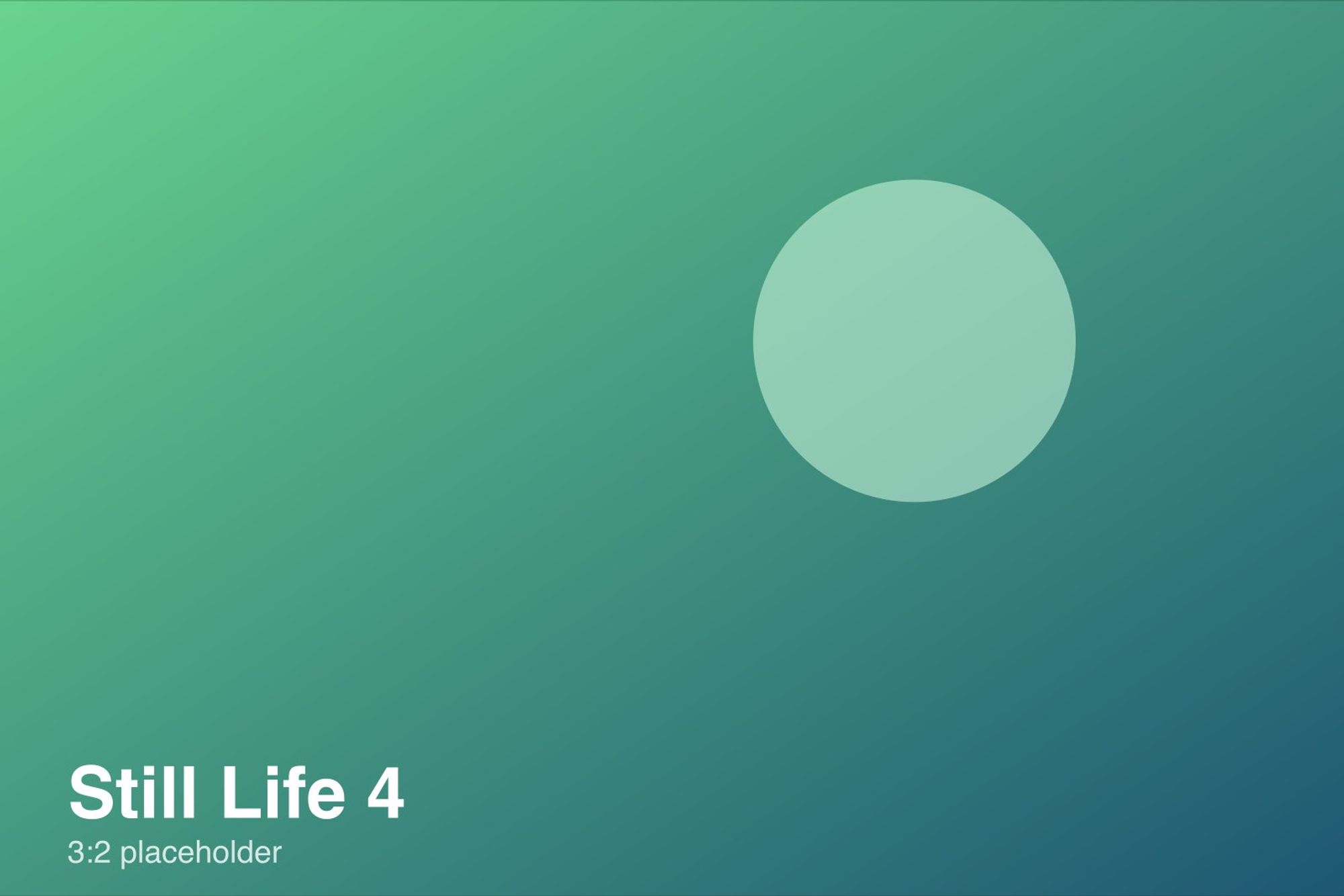 Still Life No. 4