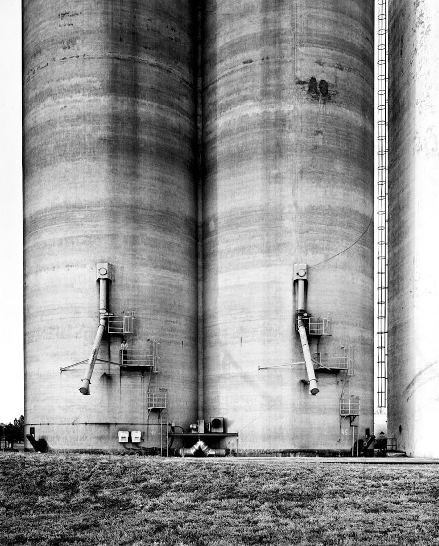 grain