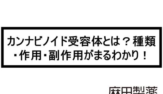 カンナビノイド受容体とは?種類・作用・副作用がまるわかり!