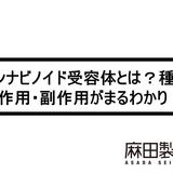 カンナビノイド受容体とは?種類・作用・副作用がまるわかり!