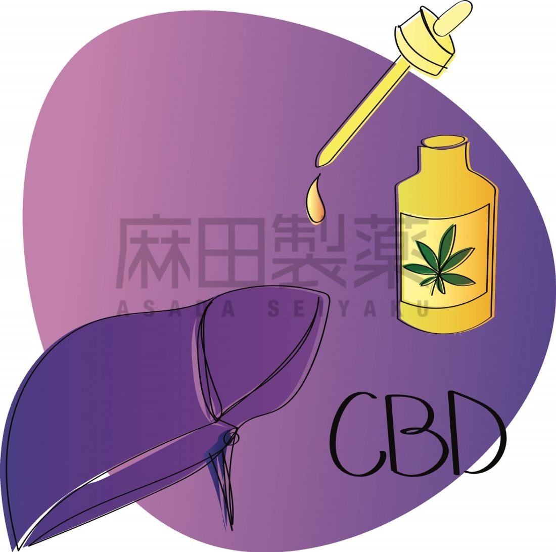 CBDの肝臓への影響