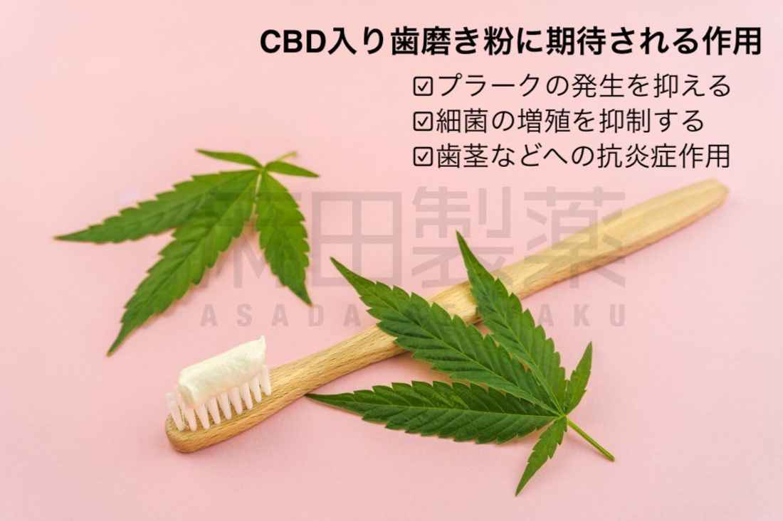 CBD入り歯磨き粉