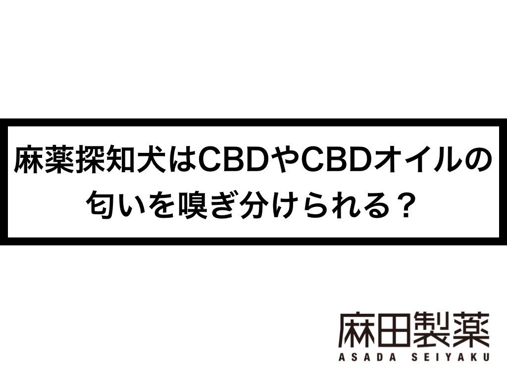麻薬探知犬はCBDやCBDオイルの匂いを嗅ぎ分けられる？