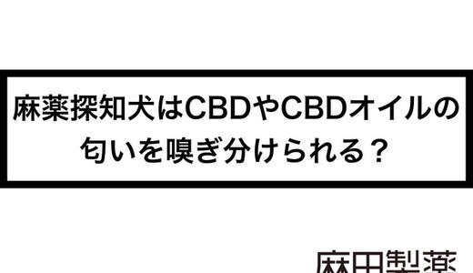 麻薬探知犬はCBDやCBDオイルの匂いを嗅ぎ分けられる?