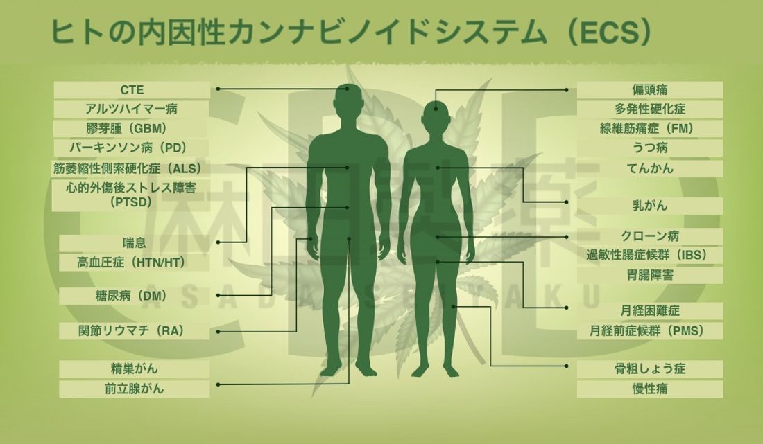 ECSの働き