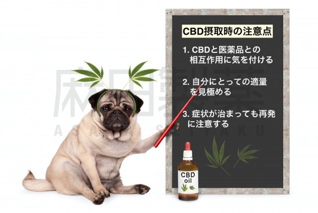 CBD摂取時の注意点