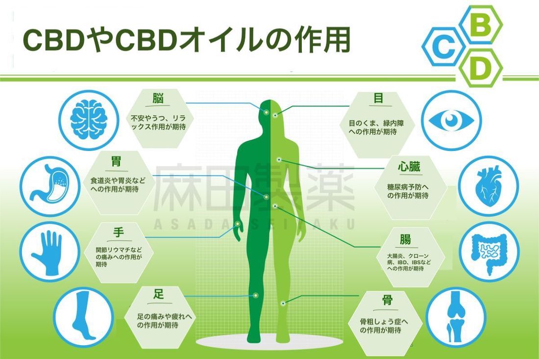 CBDオイルの作用