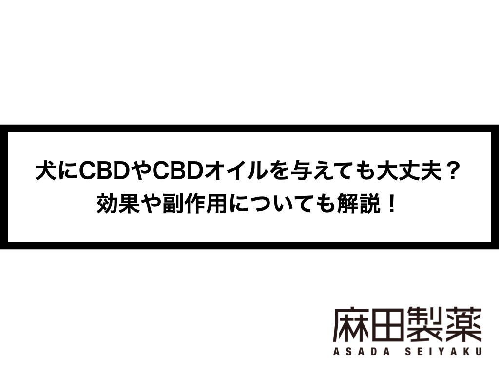 犬にCBDやCBDオイルを与えても大丈夫？効果や副作用についても解説！