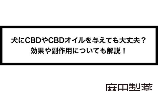 犬にCBDやCBDオイルを与えても大丈夫?効果や副作用についても解説!
