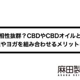 相性抜群?CBDやCBDオイルと瞑想やヨガを組み合わせるメリットは?