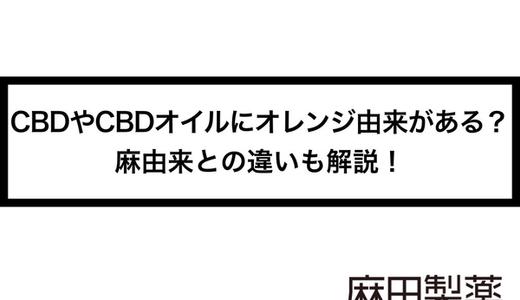 CBDやCBDオイルにオレンジ由来がある?麻由来との違いも解説!