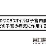 CBDやCBDオイルは子宮内膜症などの子宮の病気に作用する?
