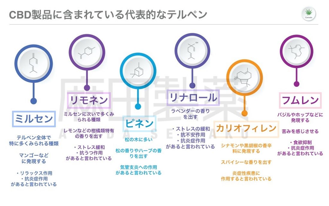 テルペンの種類