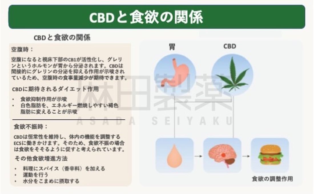 CBDと食欲の関係