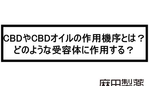 CBDやCBDオイルの作用機序とは?どのような受容体に作用する?