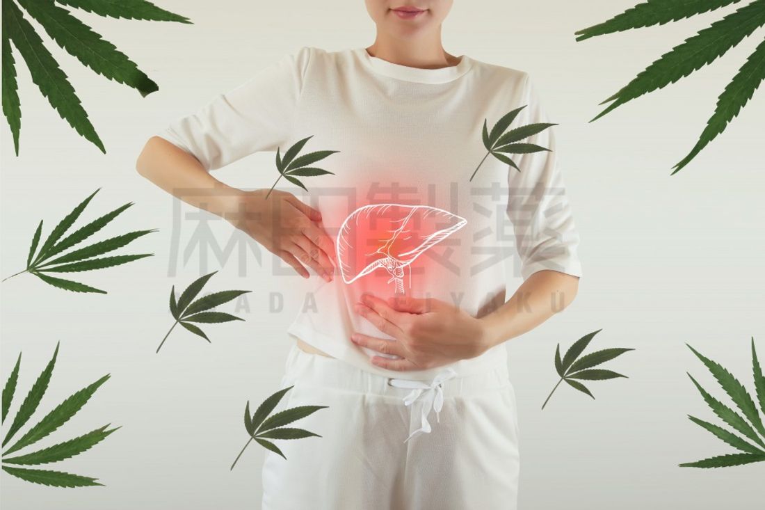 CBDやCBDオイルと肝臓