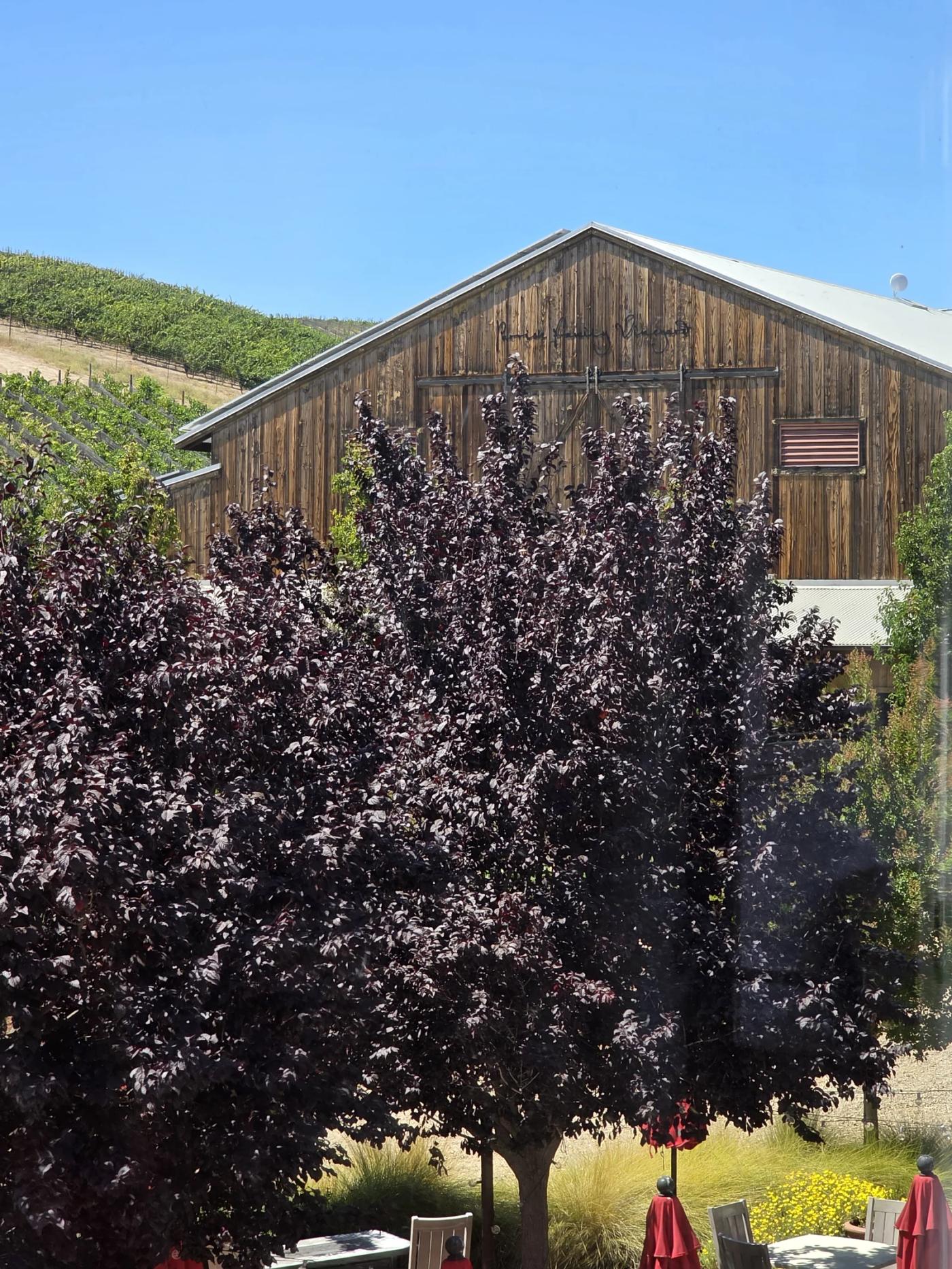 Parrish Family Vineyard barn beside vineyard rows and mature trees