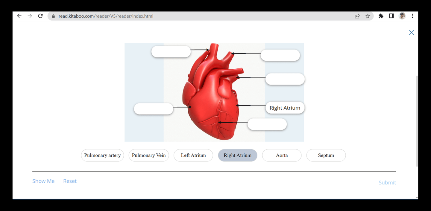 Image of a Heart