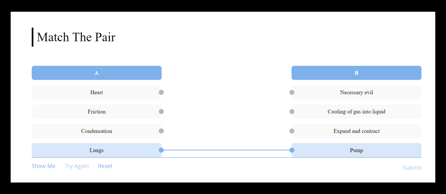 Match the Pair Box