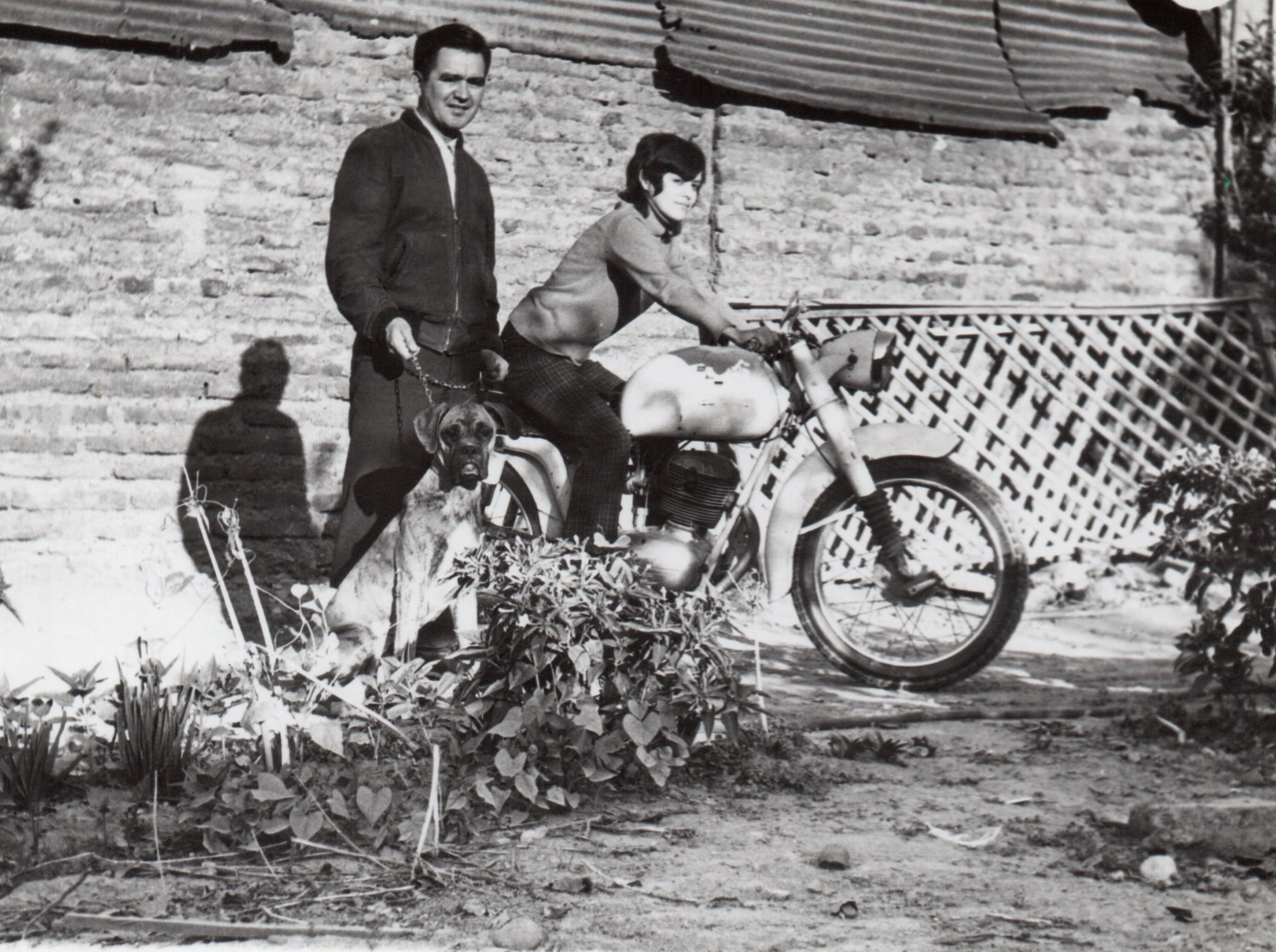 Imagen 2 de la galería