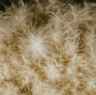 How to wash down jackets