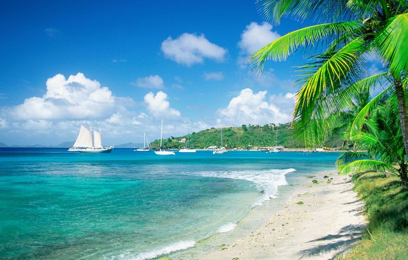 Caribbean, Grenadines, Britannia Bay, Mustique, View of a beach
