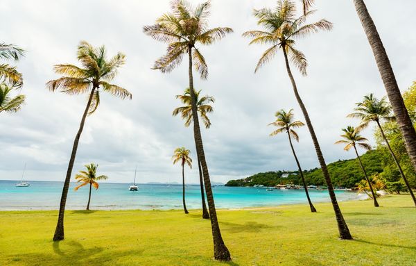 Idyllic Beach at Caribbean