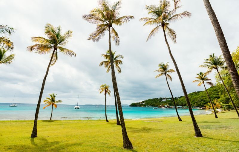 Idyllic Beach at Caribbean