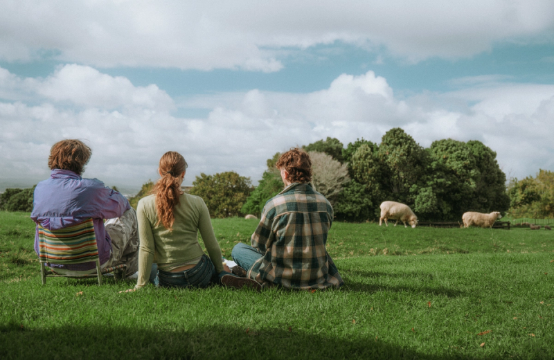 Three people from behind sit in a grassy field, looking at two sheep grazing near trees under a cloudy sky.