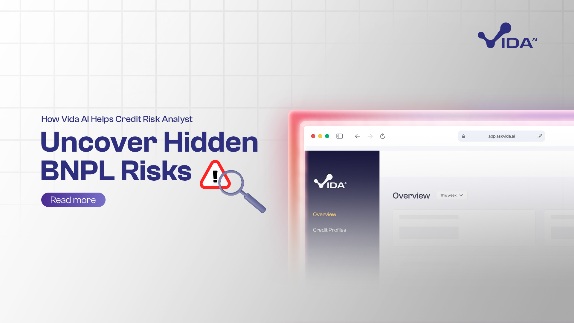 How Vida AI Helps Credit Risk Analysts Uncover Hidden BNPL Risks