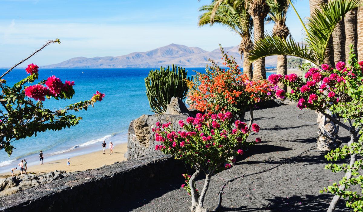 an image of Hotels in Puerto del Carmen