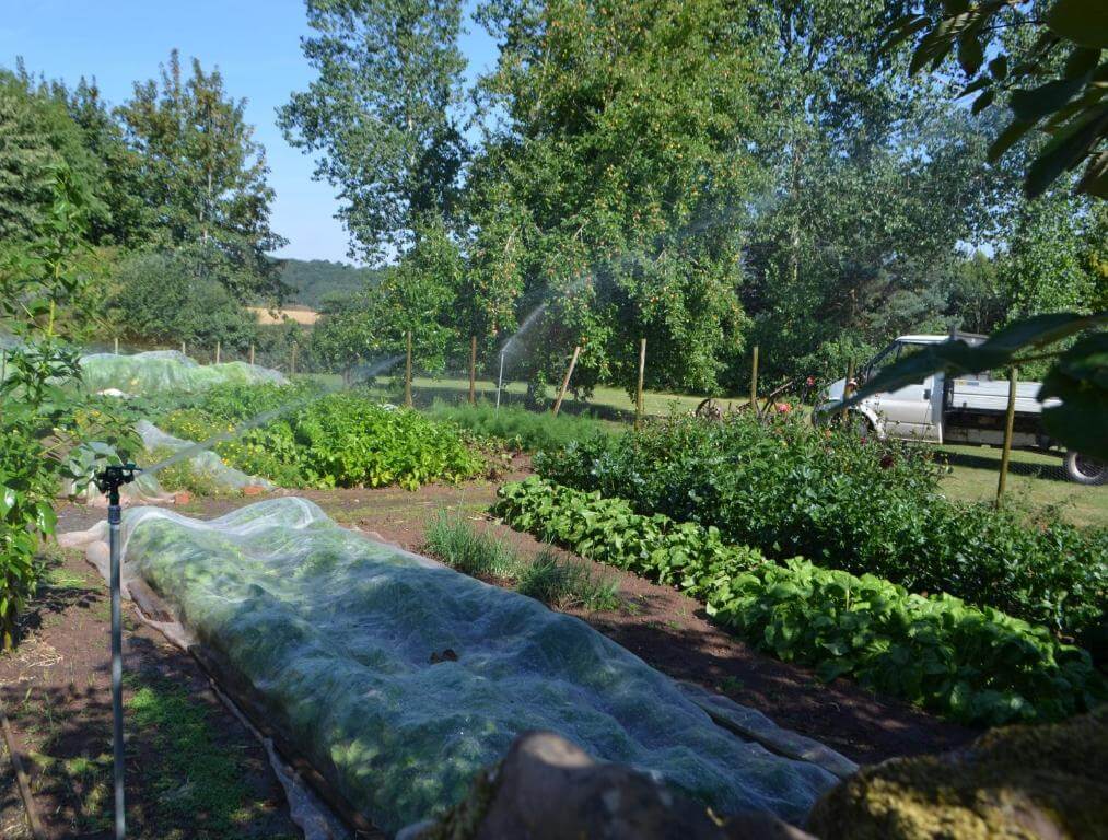 Hotels offering farm-to-fork dining experiences