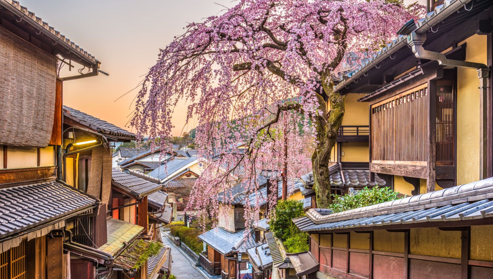 an image of Kyoto