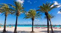 an image of Hotels in Alcudia