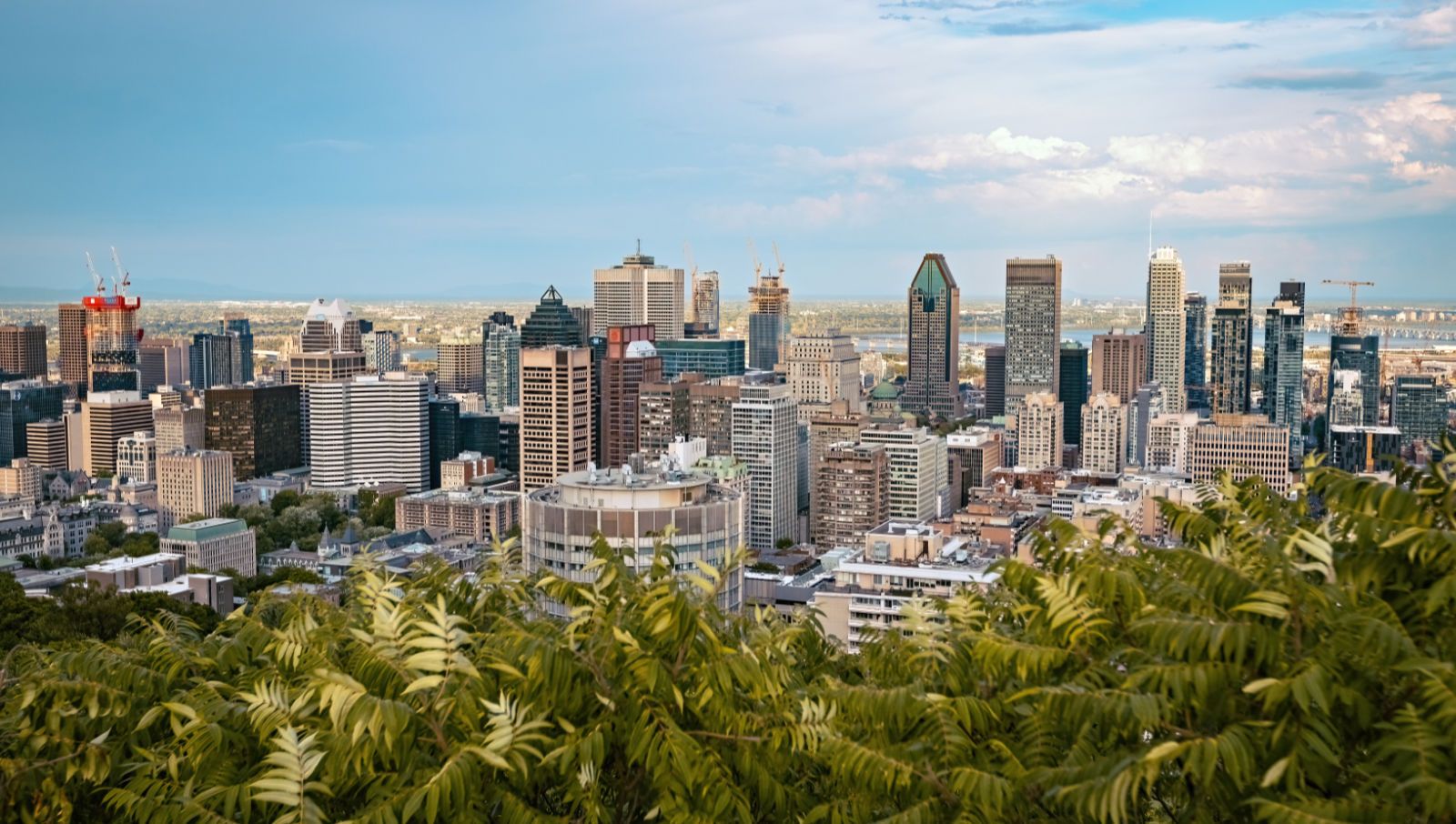 an image of Hotels in Montreal