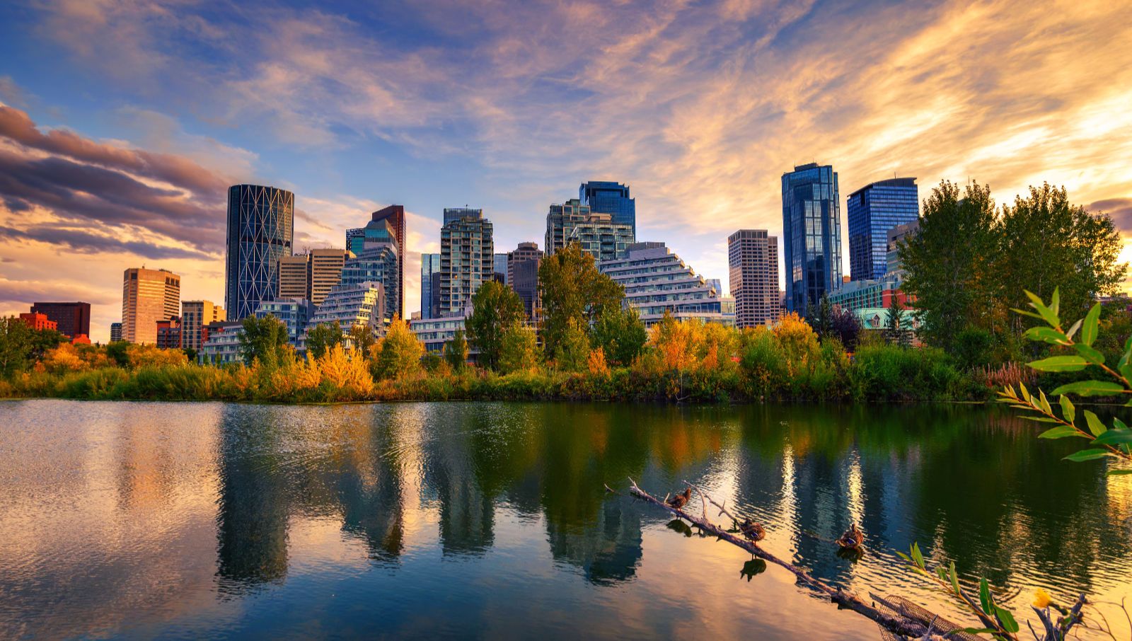 an image of Hotels in Calgary