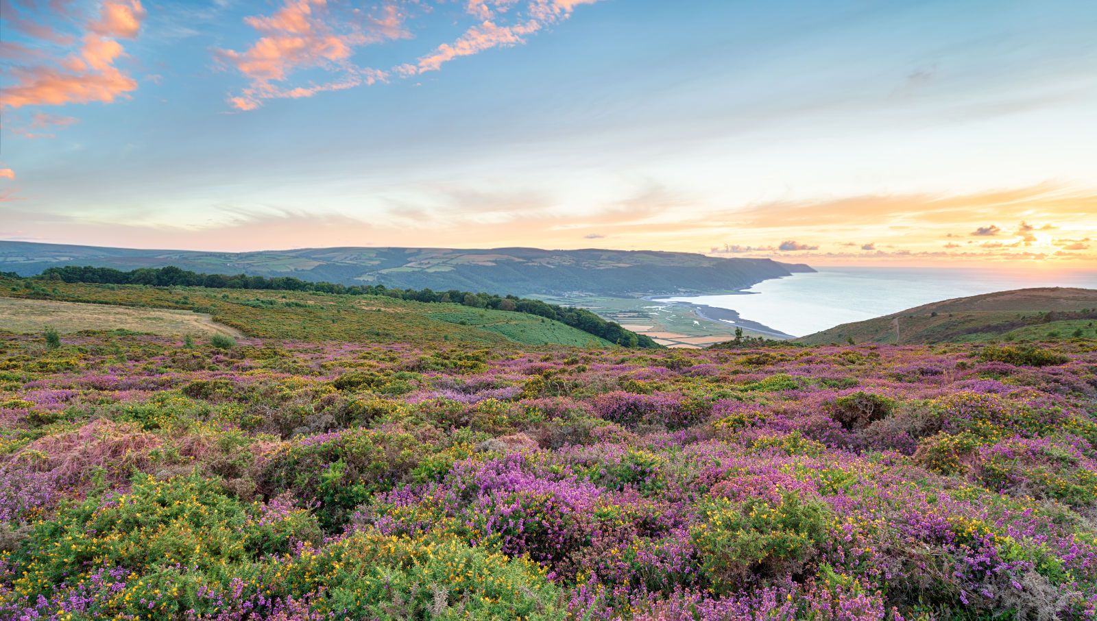 an image of Minehead