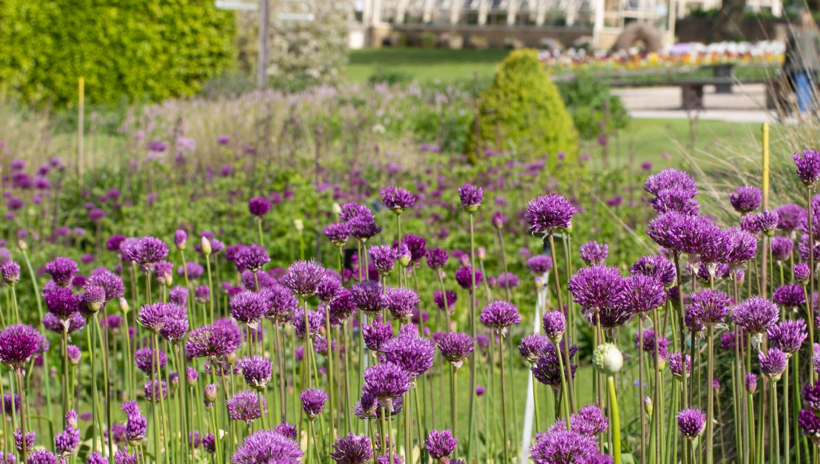 an image of RHS Garden Harlow Carr